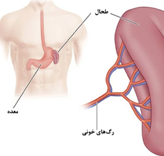 جراحی عمومی دکتر غلامرضا دانش طلب